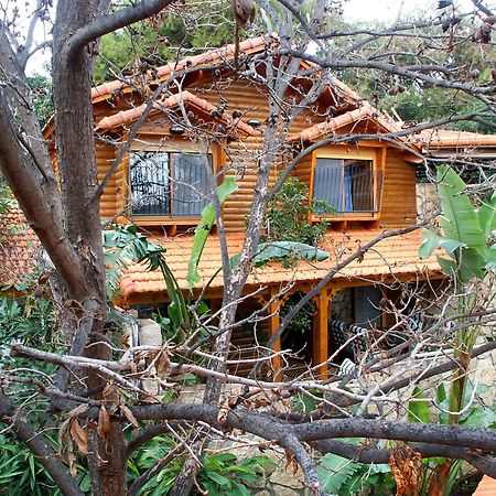 Ohn-Bar Guesthouse Амирим Екстериор снимка
